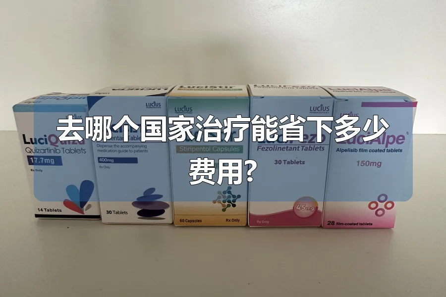 去哪个国家治疗能省下多少费用?